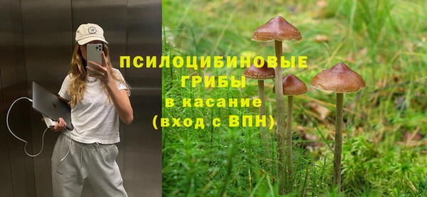 стаф Балахна