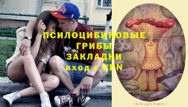 стаф Балахна